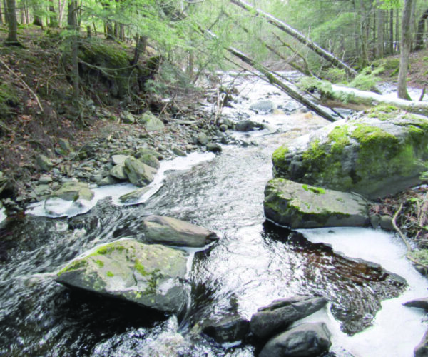 Best Rivers in the State
